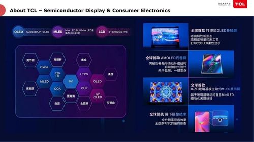 TCL俞大海 半导体工厂的智能化转型，如何实现千万级资产投资管理的优化与节省
